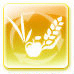 Nutritional Balance