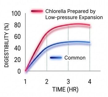 Chlorella Verdaulichkeitstabelle
