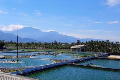 Febico Taiwan Chlorella Pond