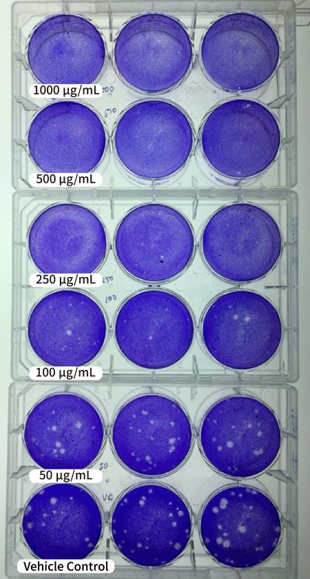 Figure 1. Apogen® at various concentration and plaque reduction effect
